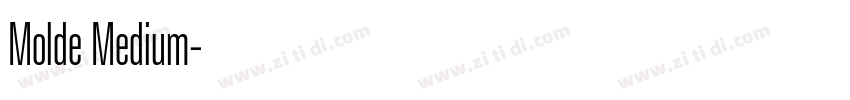 Molde Medium字体转换